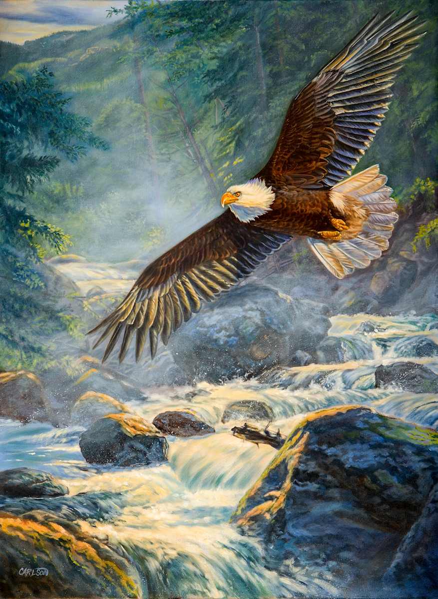 American Majesty 