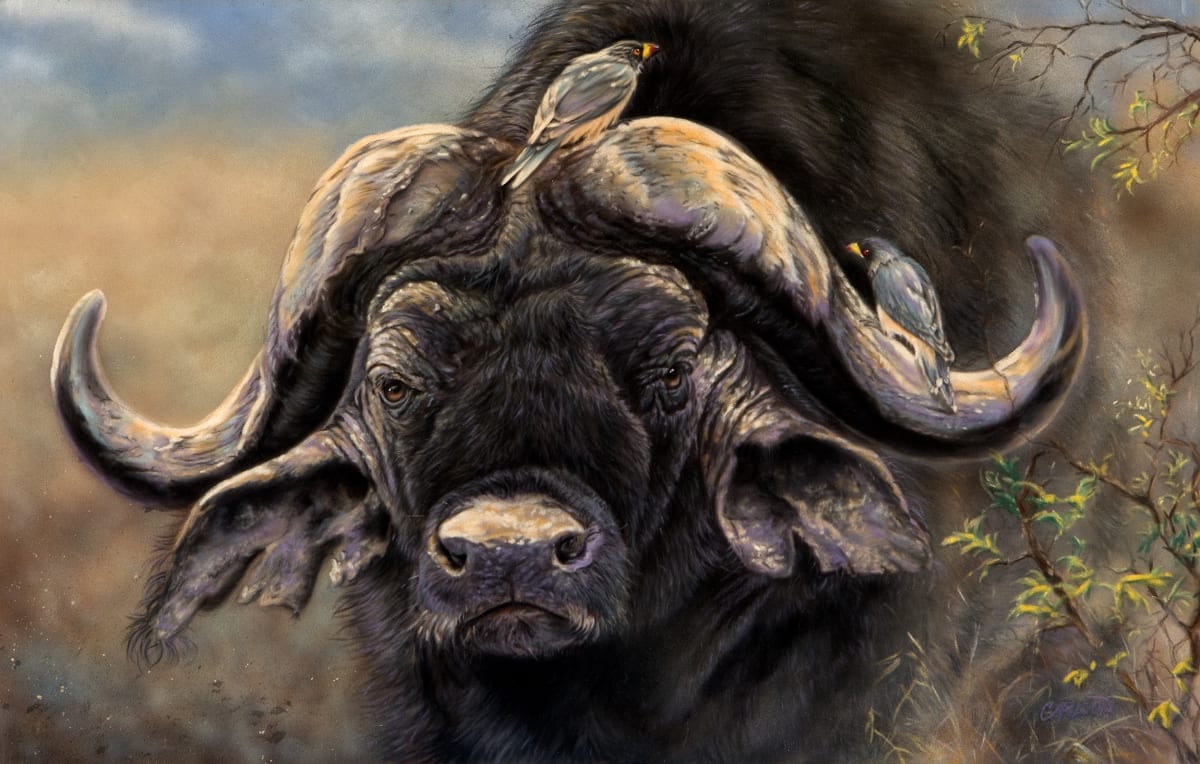 Arrogance, Image 3.