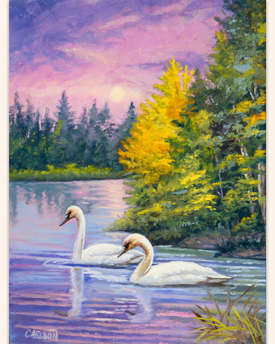 Beautiful Dawn by cory Carlson, Image 2.