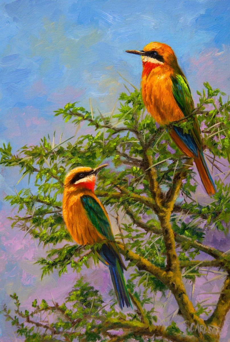 Bee Eaters, Image 1.