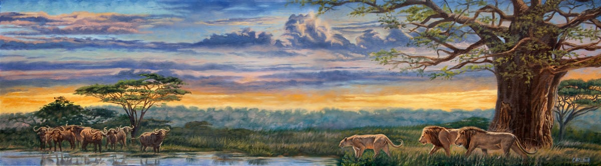 Breaking Dawn, Image 2.