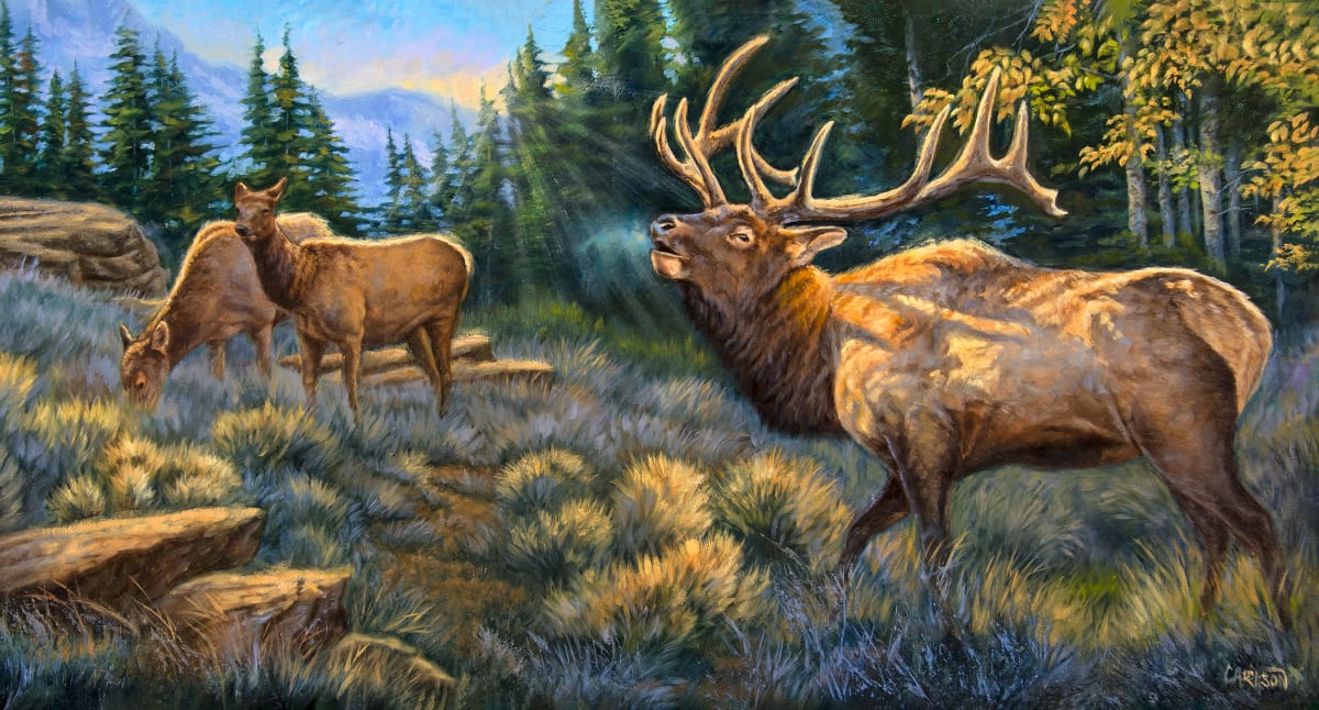 Call to the Rivals, Image 2.