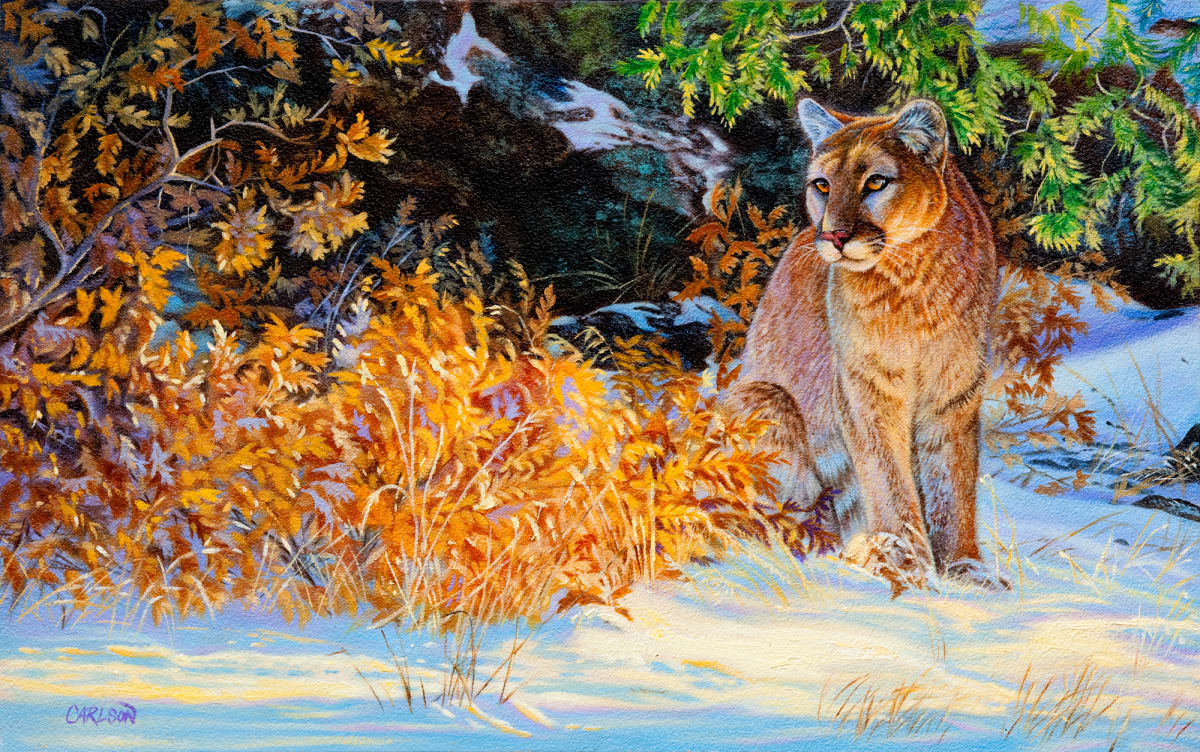 Early snow by cory Carlson, Image 1.