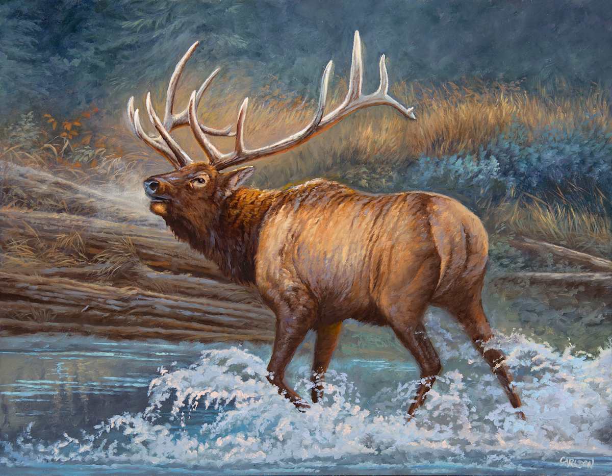 Challenger by cory Carlson, Image 1.