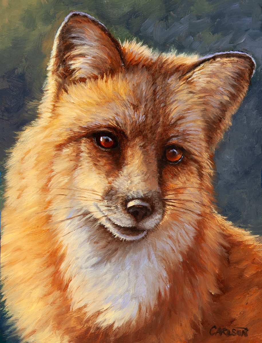 Curiosity by cory Carlson, Image 1.