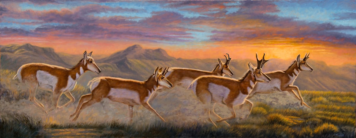 Evening Dash, Image 6.