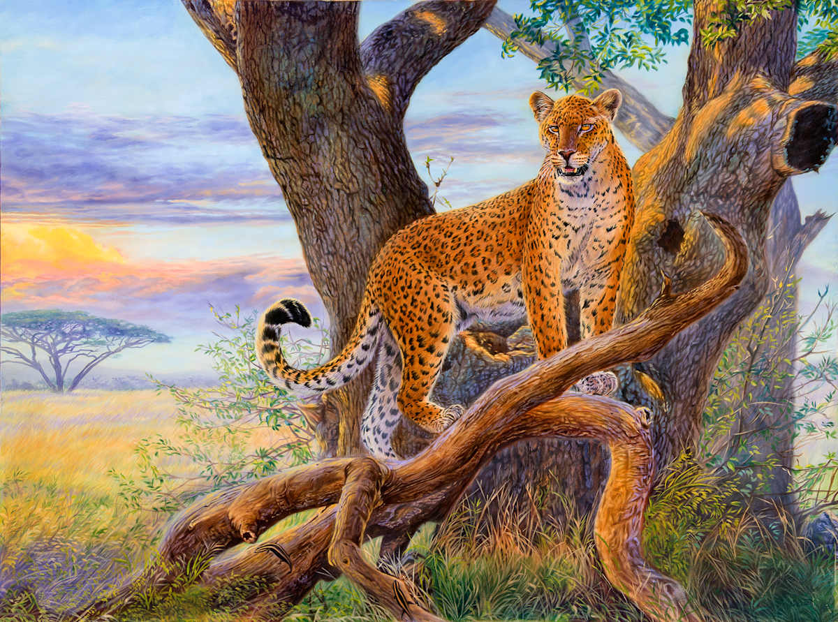 Evening Watch 
