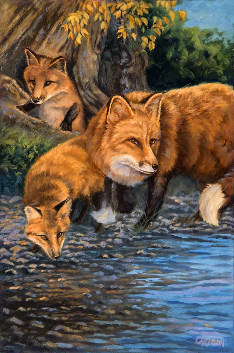 Fox Den II by cory Carlson 