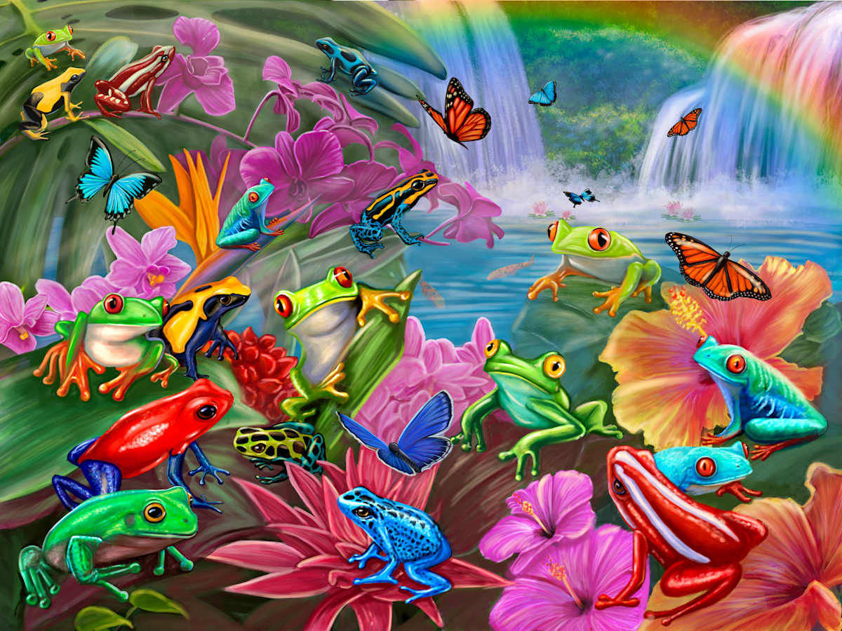 Frog Paradise, Image 1.