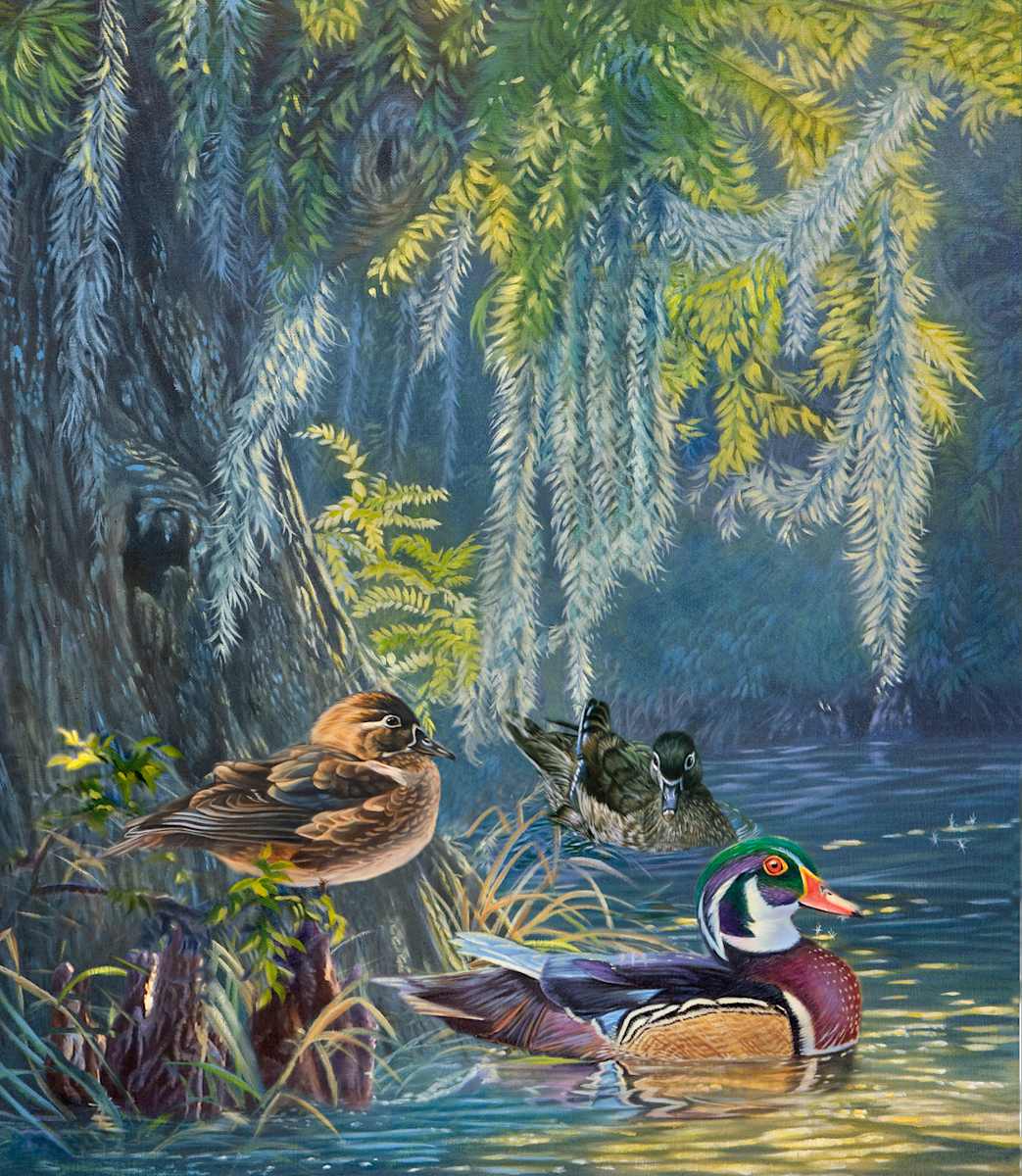 Hidden Waters by cory Carlson, Image 1.