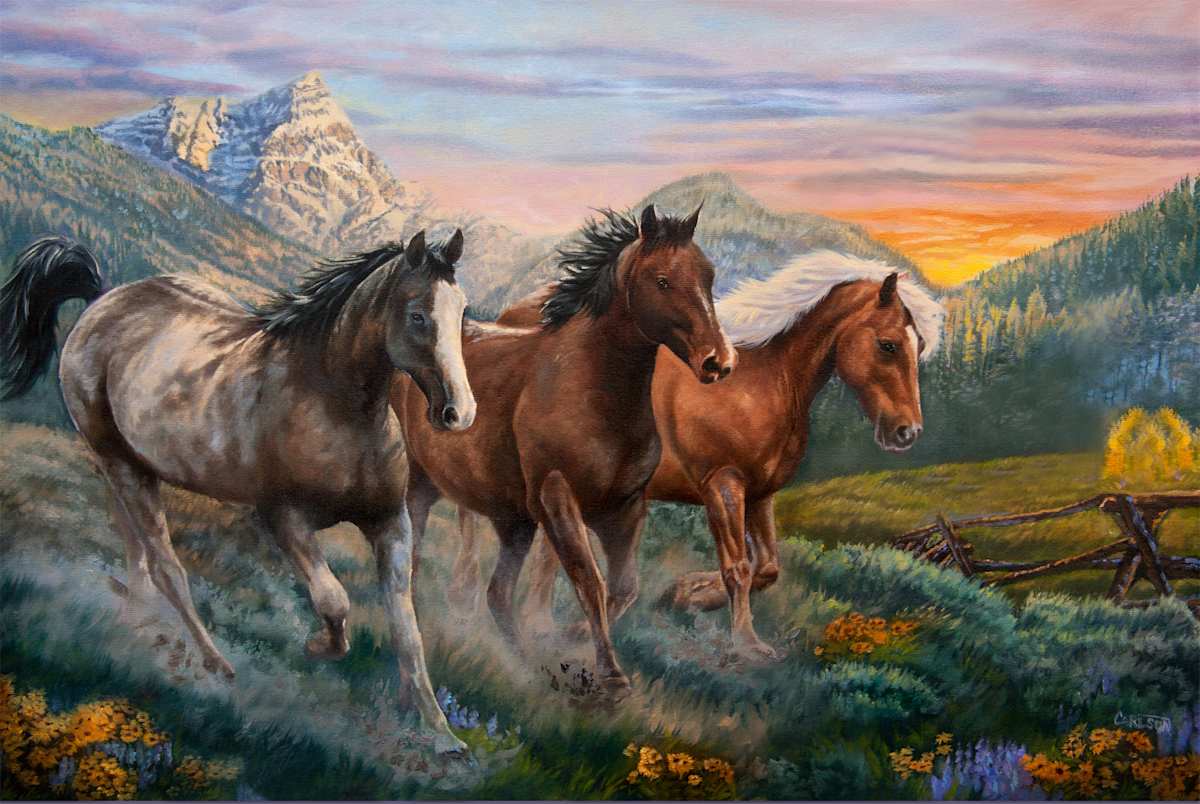 High country run by cory Carlson, Image 1.