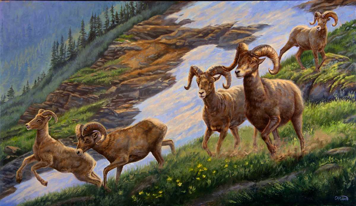 High Country Run II by cory Carlson 