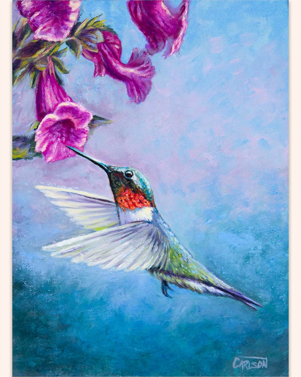 Hummingbird & Foxgloves by cory Carlson 