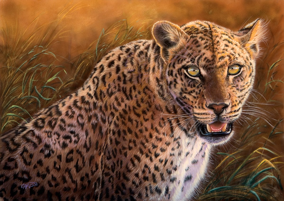 Hunter's Gaze by cory Carlson, Image 1.