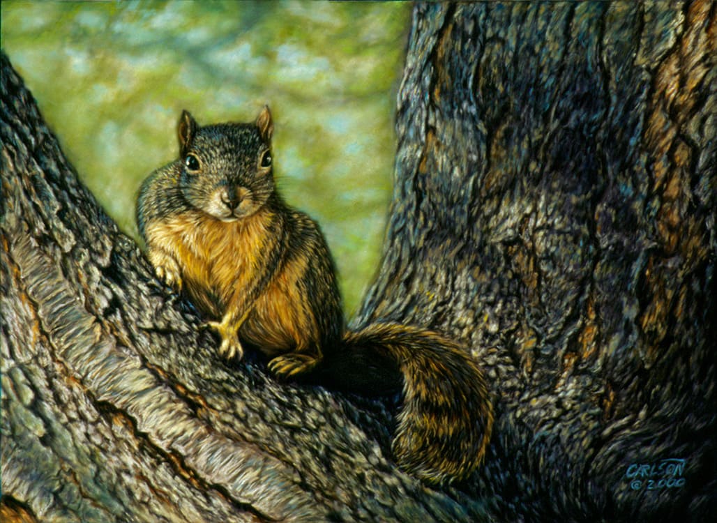 The visitor by cory Carlson, Image 1.