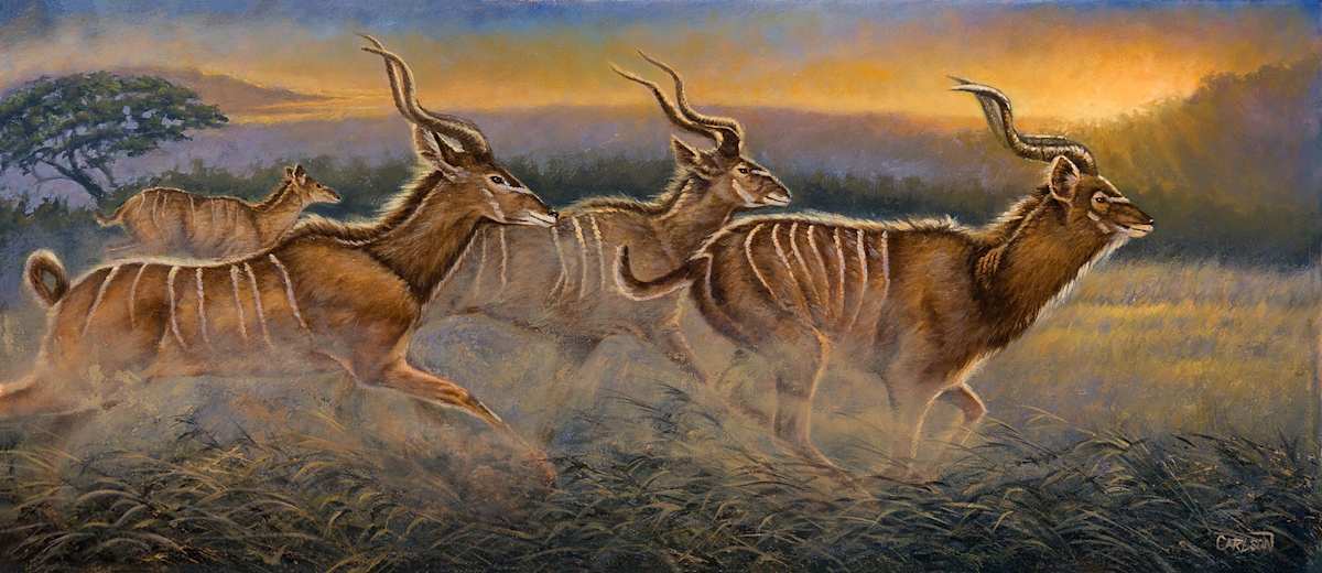 Swift Passage by cory Carlson 