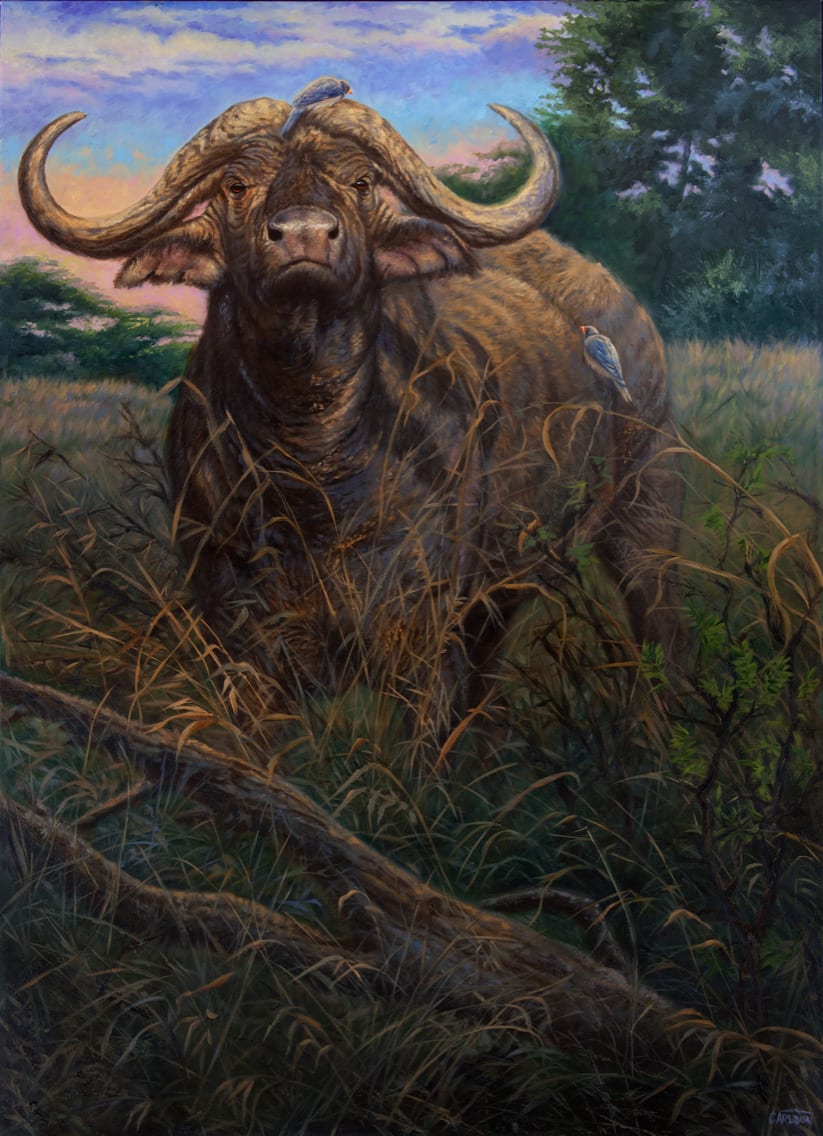 Sudden Encounter by cory Carlson, Image 1.