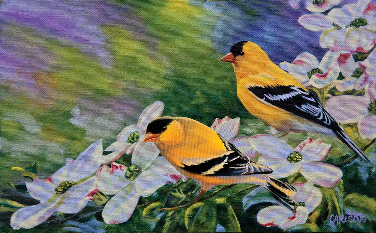 Spring delight by cory Carlson 