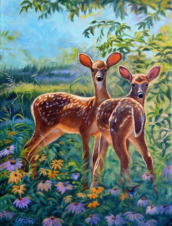 Spring break by cory Carlson, Image 1.