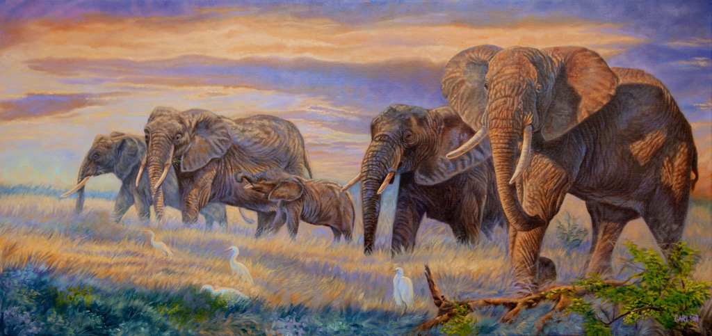 Splendor on the plains by cory Carlson 