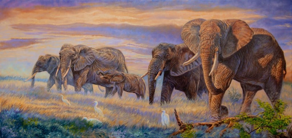 Splendor on the plains by cory Carlson, Image 1.