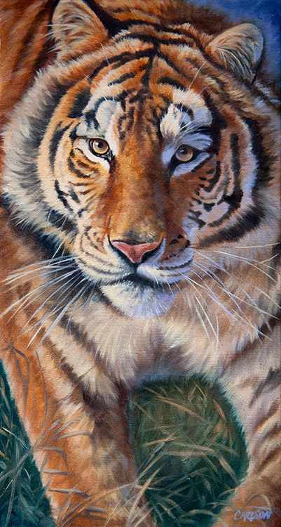 Siberian Tiger III by cory Carlson 
