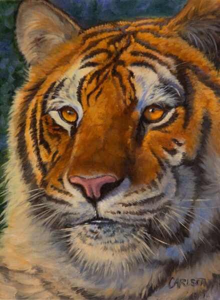 Siberian tiger by cory Carlson 
