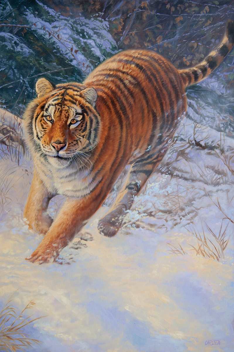 Siberian Chase by cory Carlson 