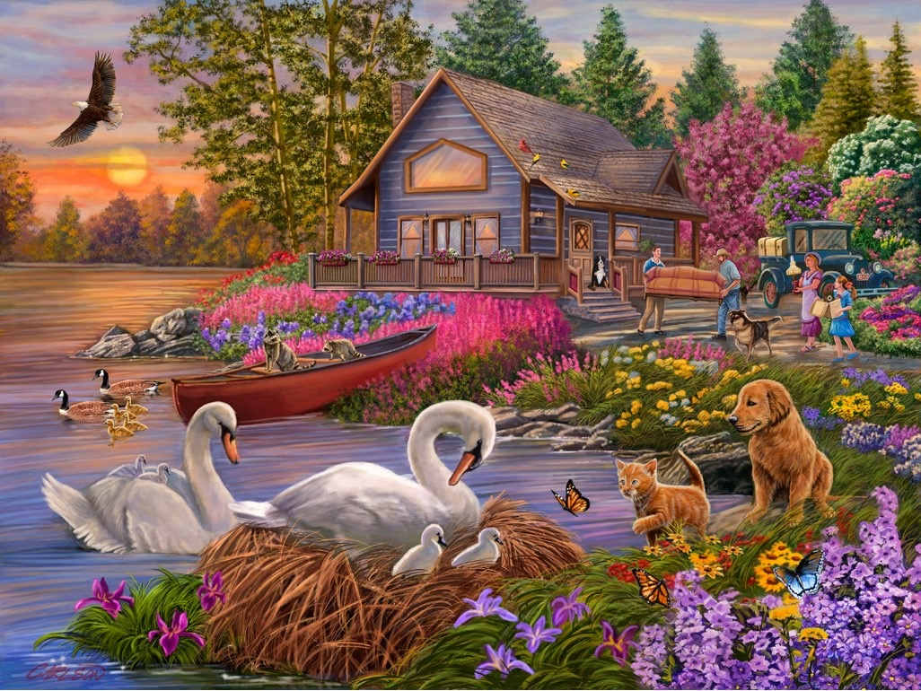 Settling In by cory Carlson, Image 1.