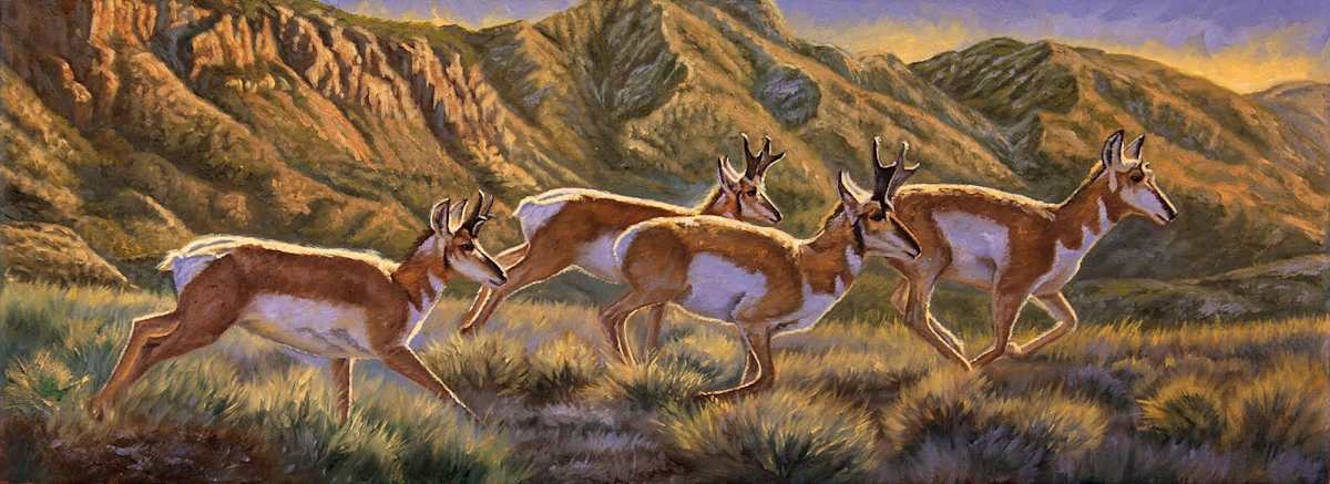 Sage Runners by cory Carlson, Image 1.