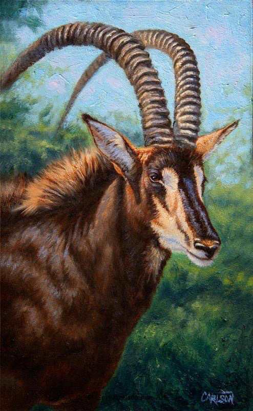 Sable II by cory Carlson 