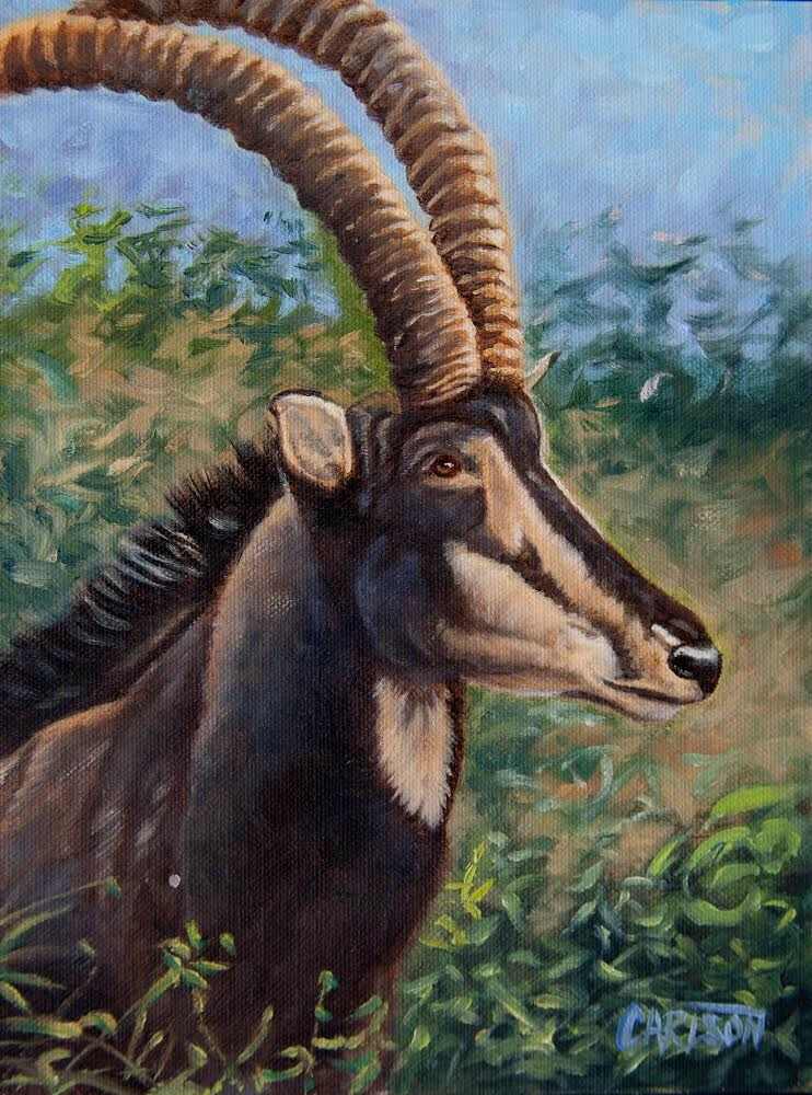 Sable by cory Carlson 