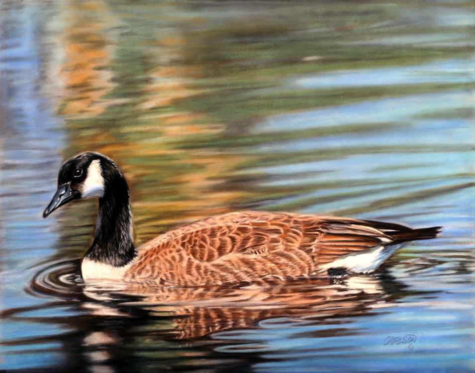 Reflections by cory Carlson, Image 1.