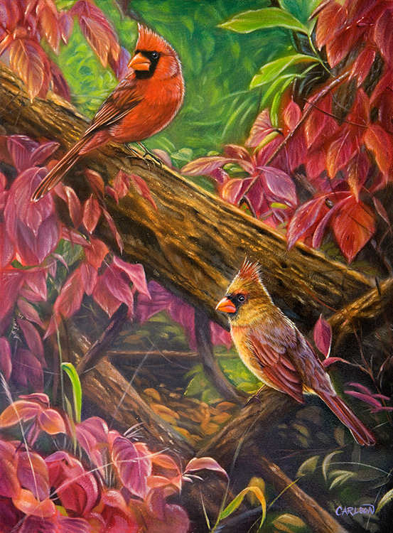 Red Rhapsody by cory Carlson, Image 1.