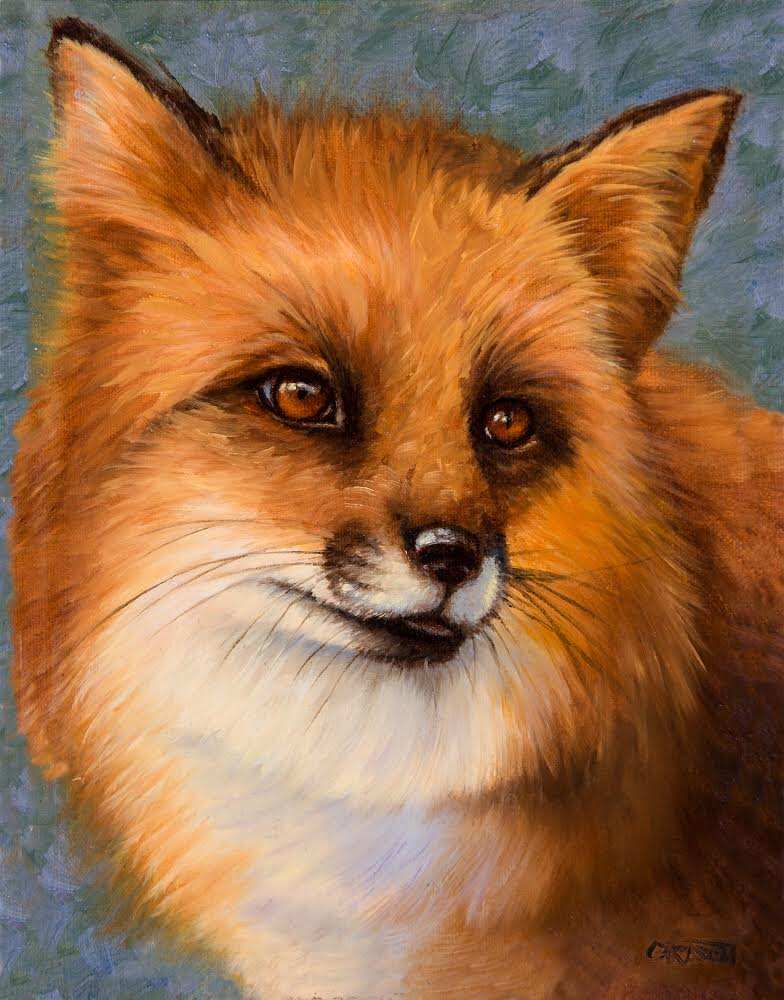 Red Fox by cory Carlson 