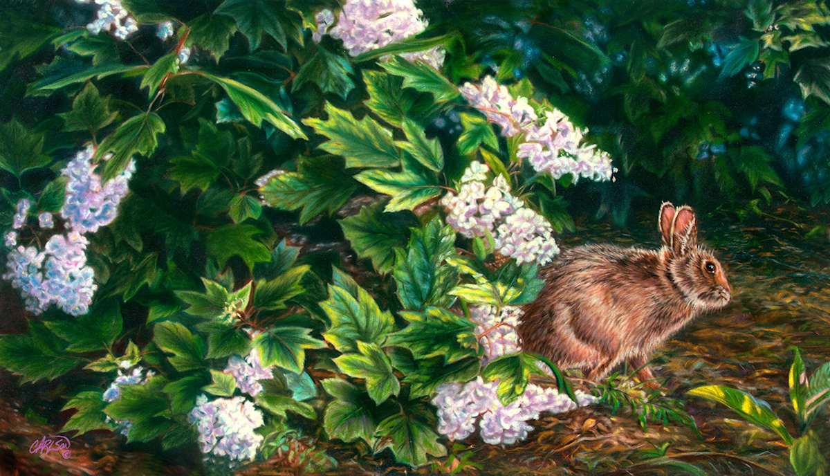 Quiet Corner by cory Carlson 