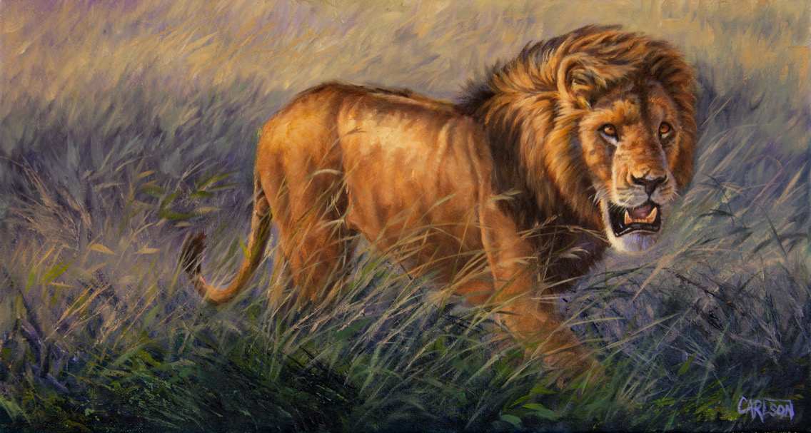 Pride of the Plains II by cory Carlson 