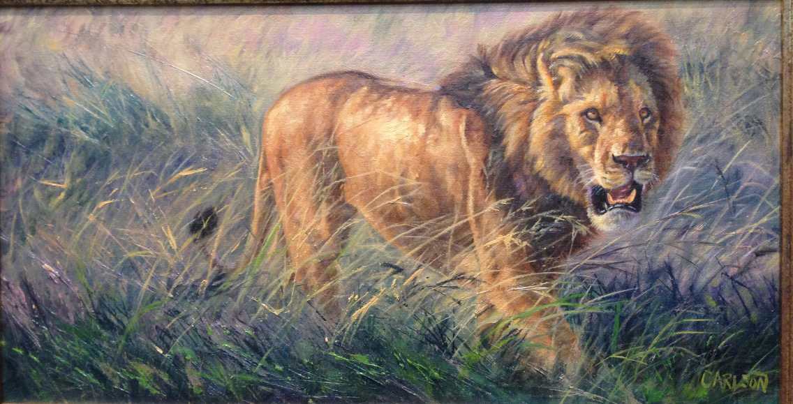 Pride Of The Plains by cory Carlson 