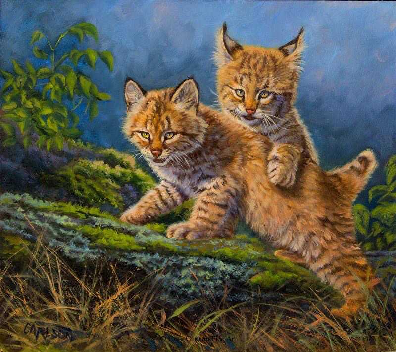 Playtime II (kittens) by cory Carlson, Image 1.