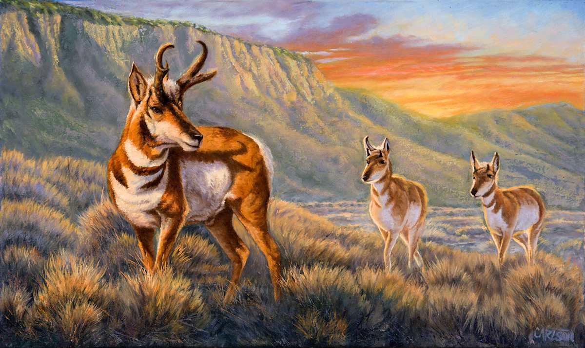 Plains Watchers by cory Carlson, Image 1.