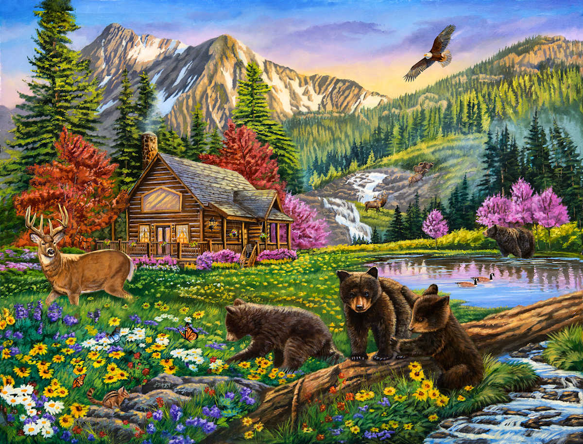 Mountain Hideaway by cory Carlson 
