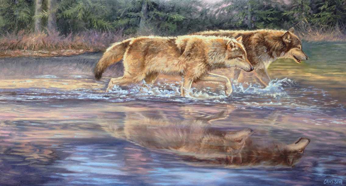 Morning Reflections by cory Carlson, Image 1.