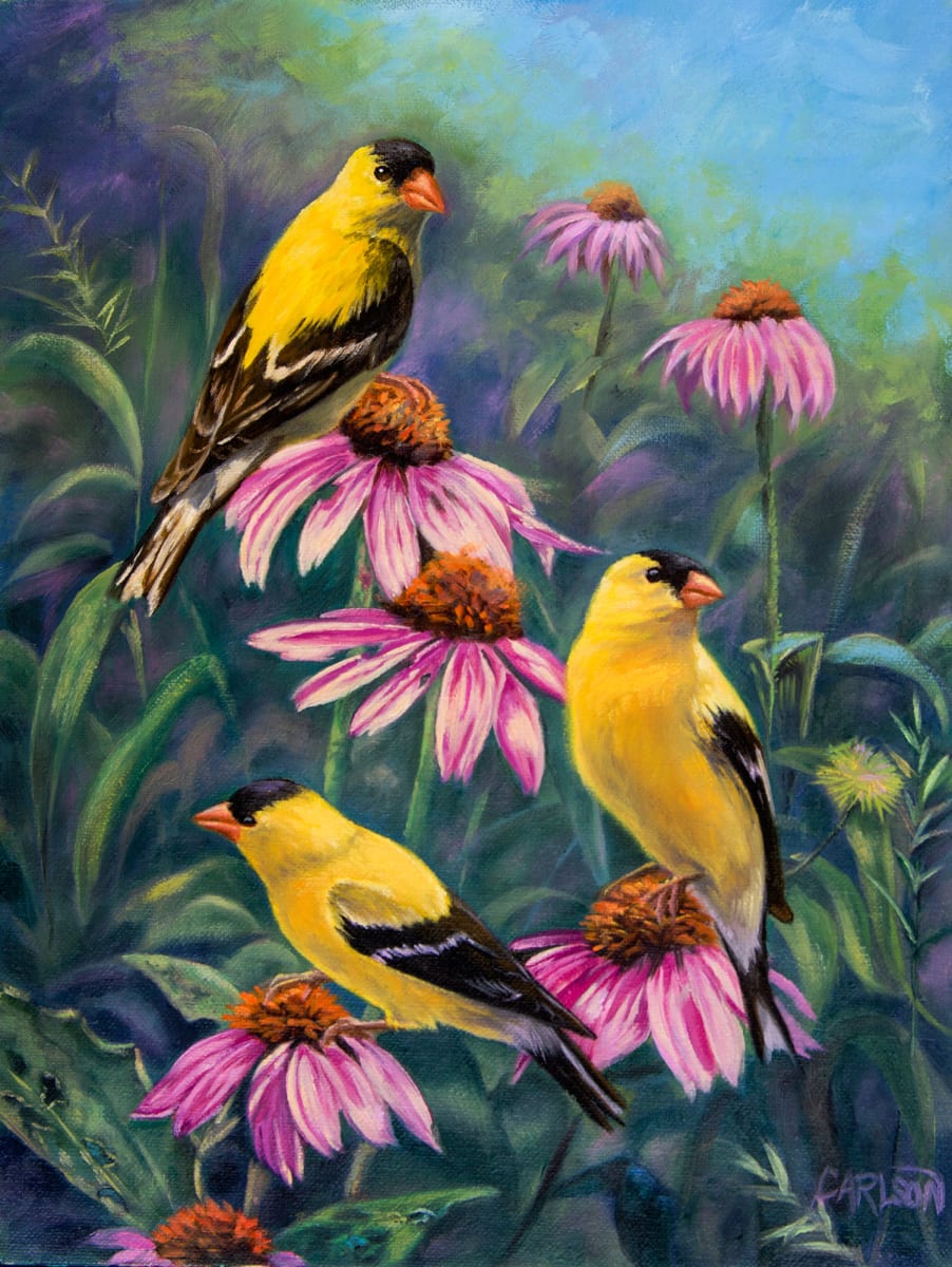 Morning Melodies by cory Carlson, Image 1.