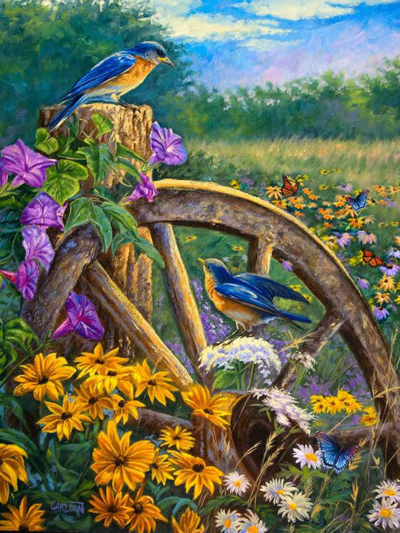 Morning Meadows by cory Carlson 