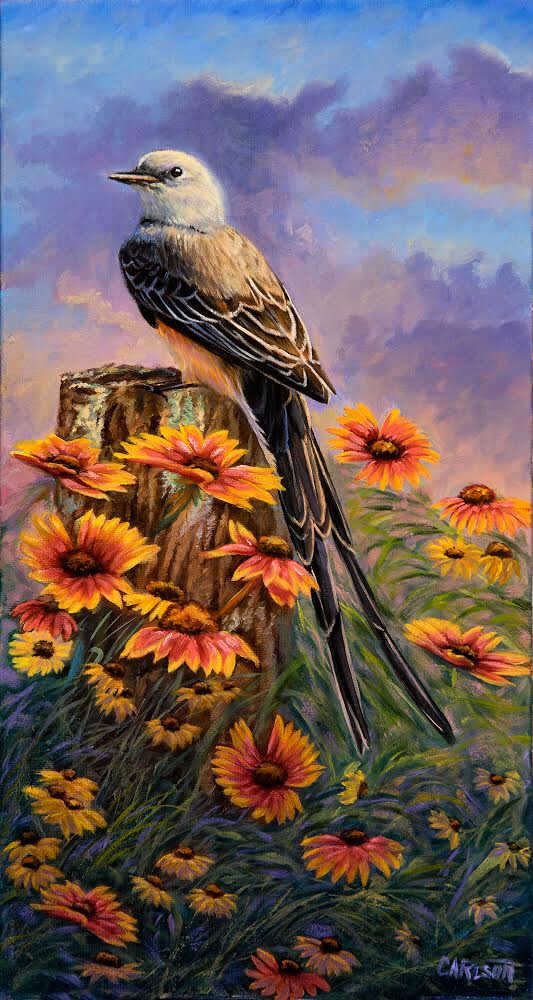 Meadows Edge by cory Carlson, Image 1.