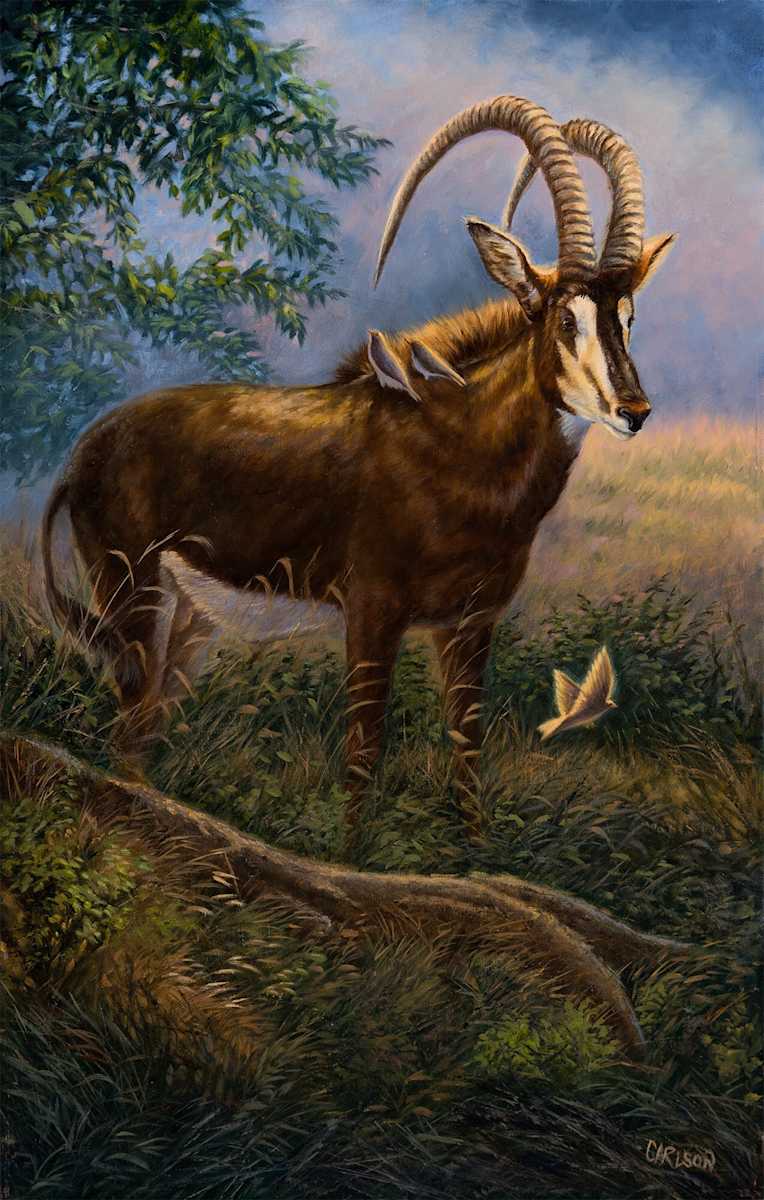 Majestic Sable by cory Carlson, Image 1.