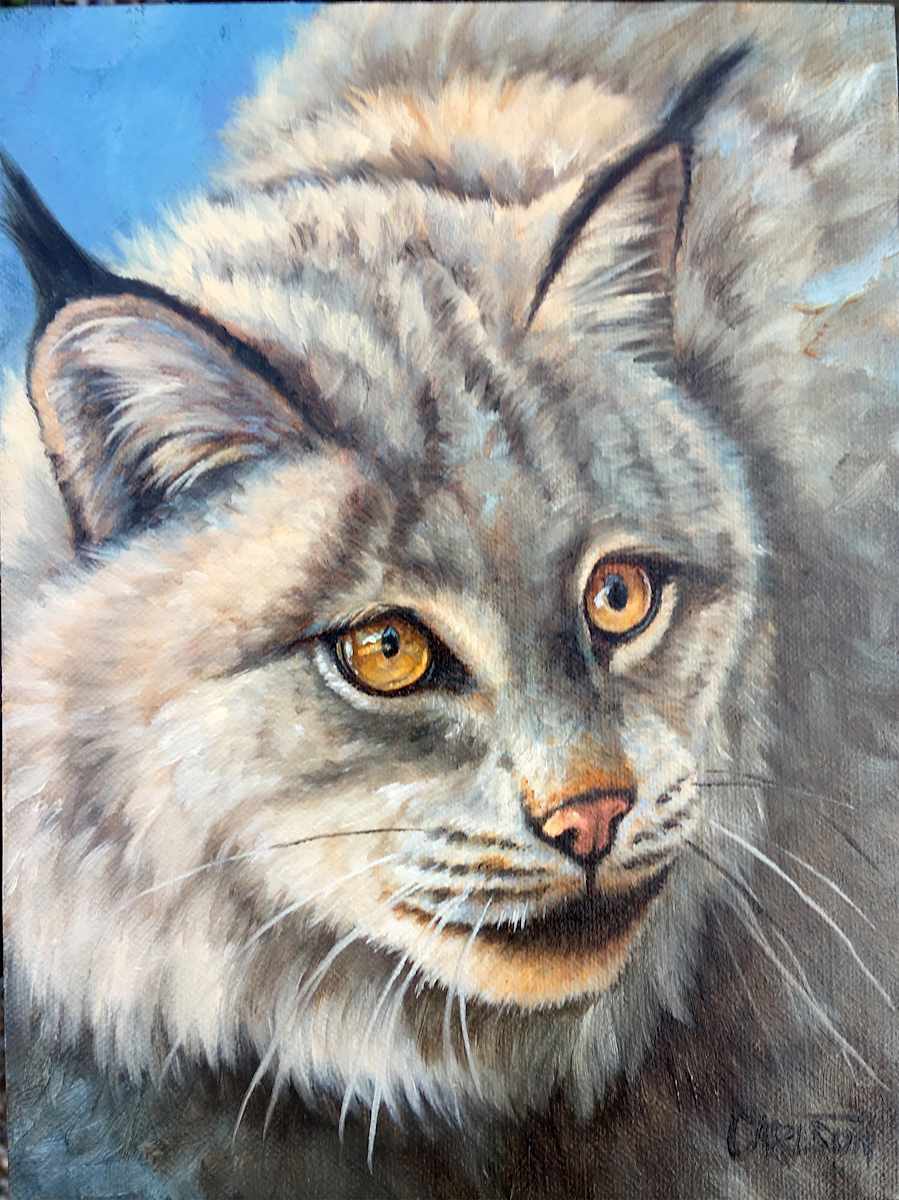 Lynx by cory Carlson, Image 1.