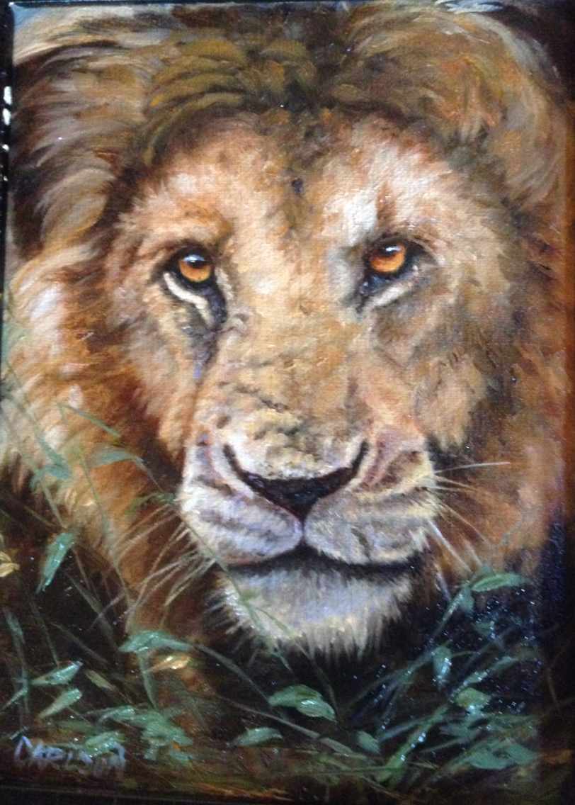 Lion portrait I by cory Carlson 