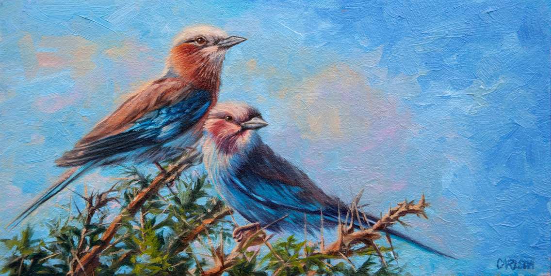Lilac Breasted Roller by cory Carlson 