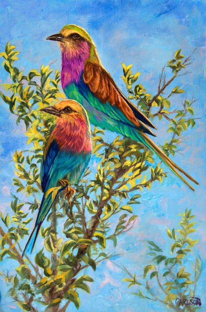 Lilac Breasted Roller by cory Carlson 